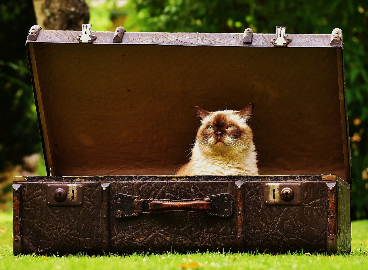 Repurposing Old Suitcases into Side Tables